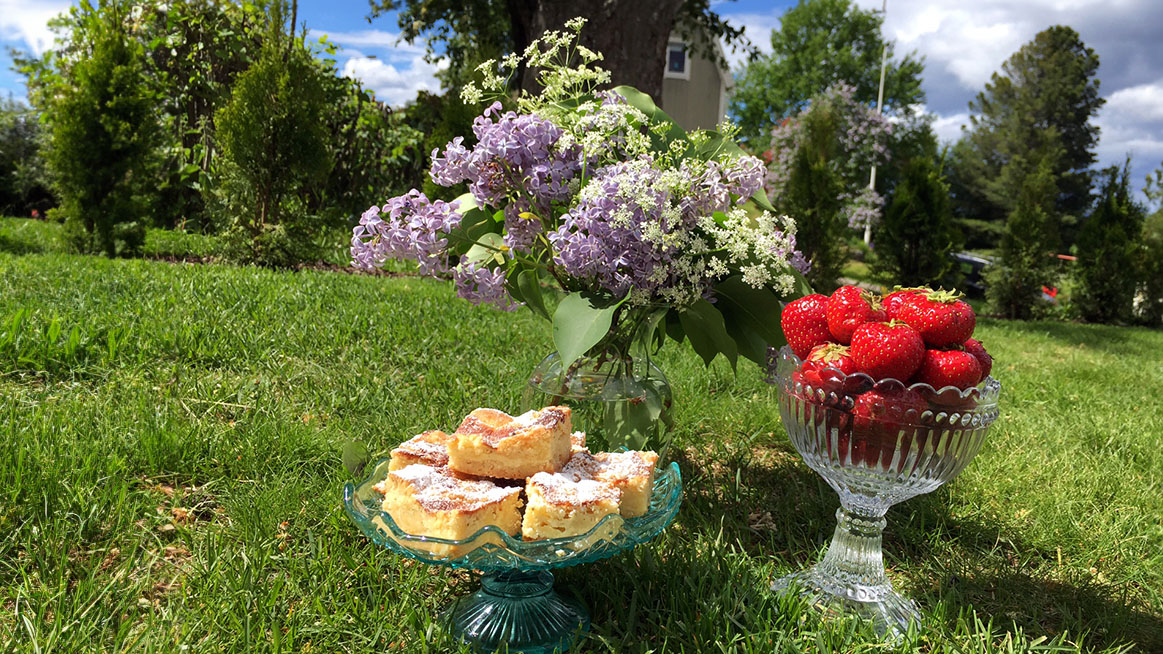 Sommarbild med jordgubbar och kaka